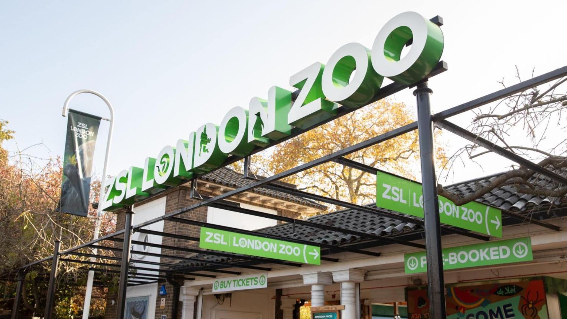 Stylish 2-br In Colindale, London Next To Wembley, London Museum And Underground Station Edgware